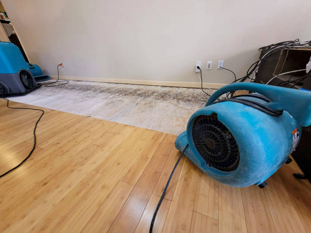 Professional Emergency Water Damage technician working in Manheim, PA